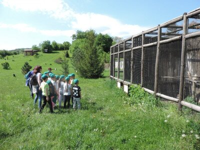                                                                                                                                 