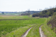 A Kerecsendi Berek-erdő