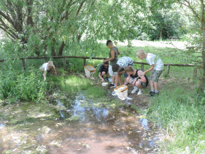 ��������                                                                                                                       �