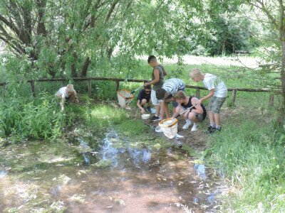                                                                                                                                 