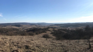 2023/1 2. The first few days