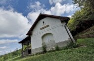 Nyárzáró madárgyűrűzés a Szitakötő háznál