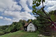 Nyárzáró madárgyűrűzés a Szitakötő háznál