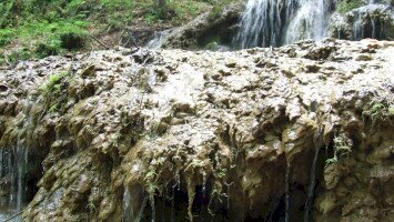 21. THE TRAVERTINE FORMATIONS OF THE SEBES-VÍZ VALLEY 