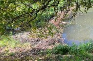 2 Unterwegs mit Ranger / ​Our experiences  with the rangers
