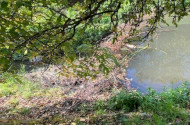 2 Unterwegs mit Ranger / ​Our experiences  with the rangers