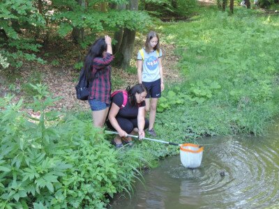                                                                                                                                 