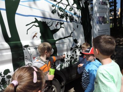                                                                                                                                 