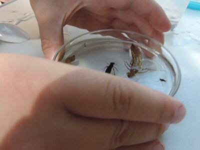                                                                                                                                 