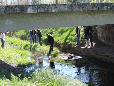                                                                                                                                 