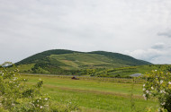 9. A szőlészethez-borászathoz kapcsolódó szellemi örökség