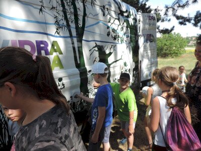                                                                                                                                 