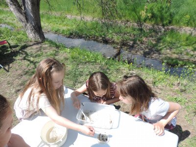                                                                                                                                 