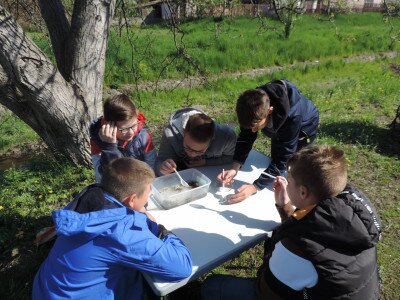                                                                                                                                 