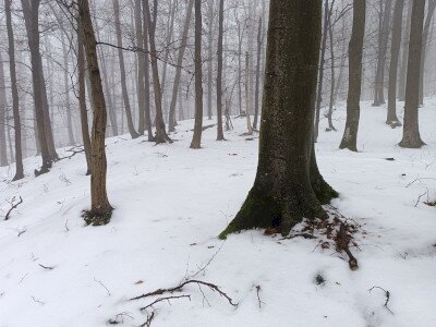 IMG_20260124_120522