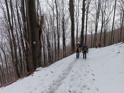 IMG_20260124_133848