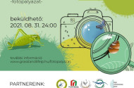 Gyepek titkai logo