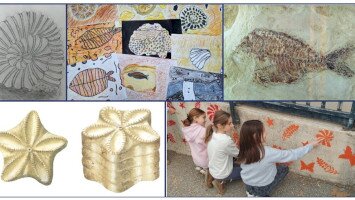 Announcement of a competition for a fossil-themed artwork within the European Geoparks Network during Geotope Days