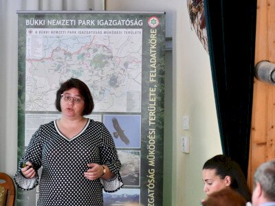 ASCII                                       