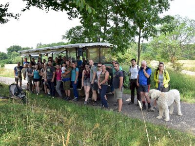 ASCII                                       