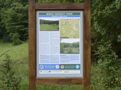 ASCII                                       