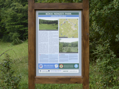 ASCII                                       