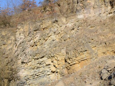 ASCII                                       