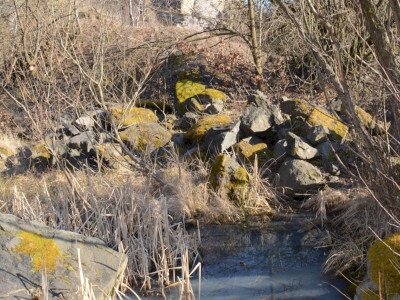 ASCII                                       