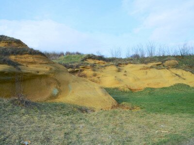 ASCII                                       