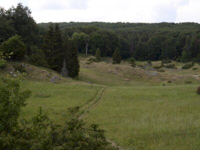 ASCII                                       