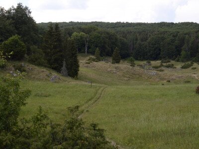 ASCII                                       