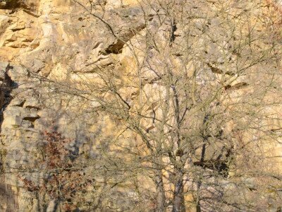 ASCII                                       