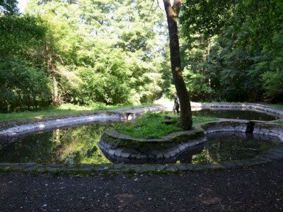 ASCII                                       