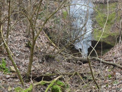 ASCII                                       