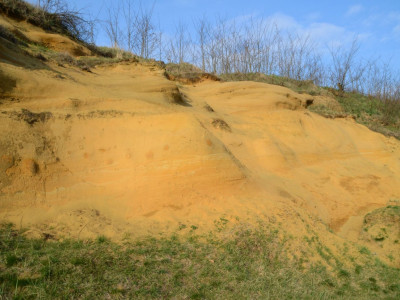 ASCII                                       