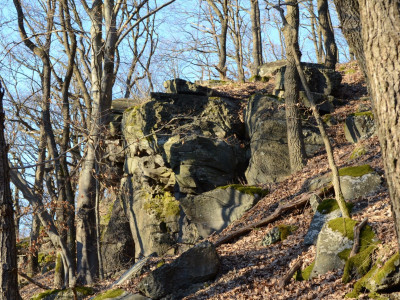 ASCII                                       