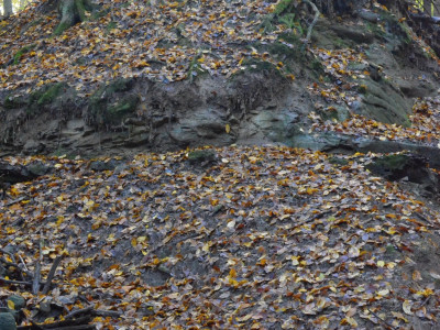 ASCII                                       