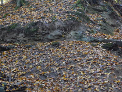 ASCII                                       