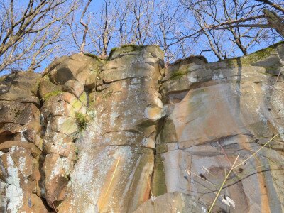 ASCII                                       