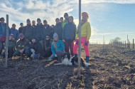 A társadalmi önkéntesség jelentősége,  avagy VI. Békatutaj faültetés