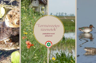 A „Természetes üzenetek” plakáttervező pályázat díjazottjai