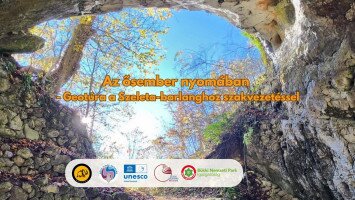Az ősember nyomában - Geotúra a Szeleta-barlanghoz szakvezetéssel