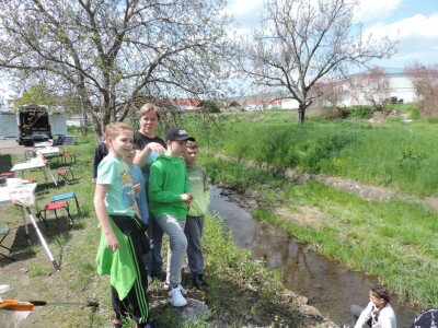                                                                                                                                 