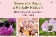 Beporzók Napja a Harkály Házban