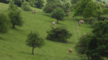 Beszámoló a „Tardi helyzetről” – terepgyakorlat keretében