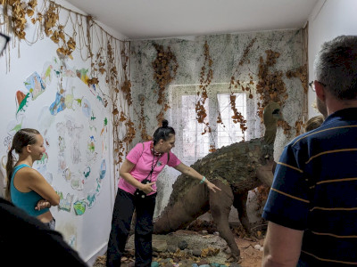 PXL_20230815_090244846