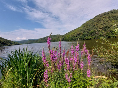 WhatsApp Image 2023-08-04 at 08.08.43