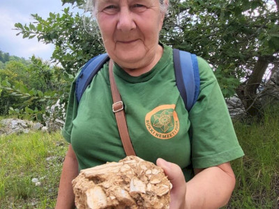 WhatsApp Image 2023-08-06 at 17.51.15