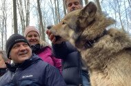 bükki nemzeti park igazgatóság, thuróczy szabolcs, film, díjnyertes