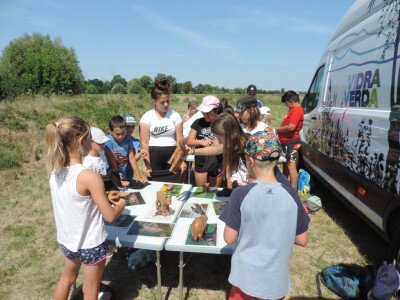                                                                                                                                 